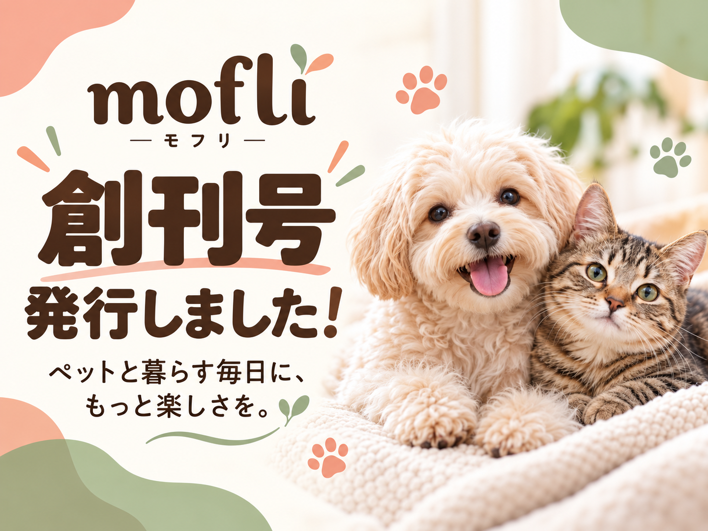 8月25日mofli創刊号発行！