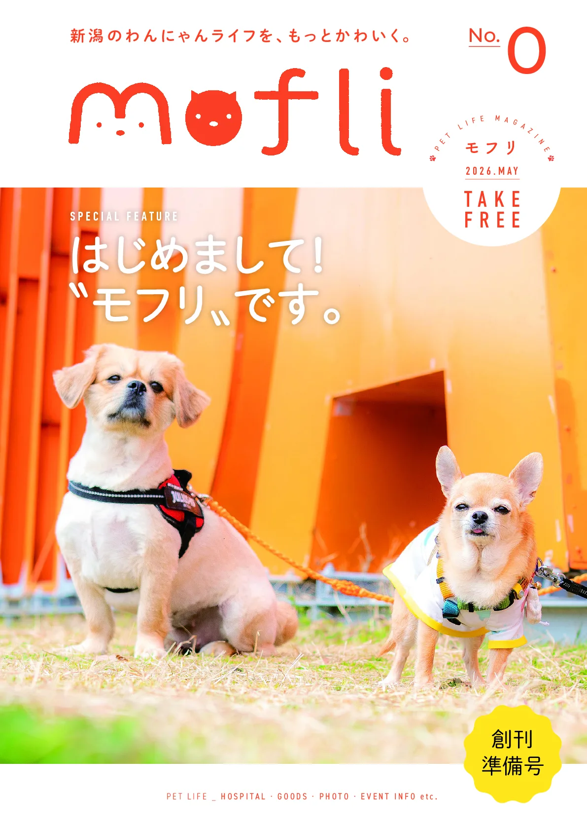 Mofli準備号 表紙
