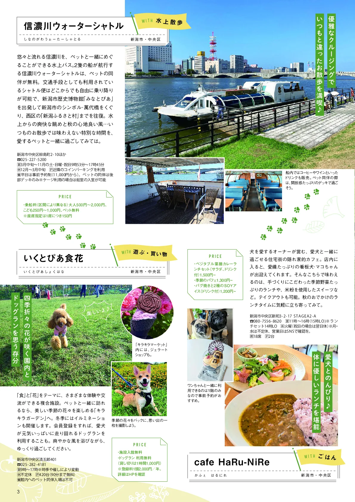 mofli創刊号 3ページ目