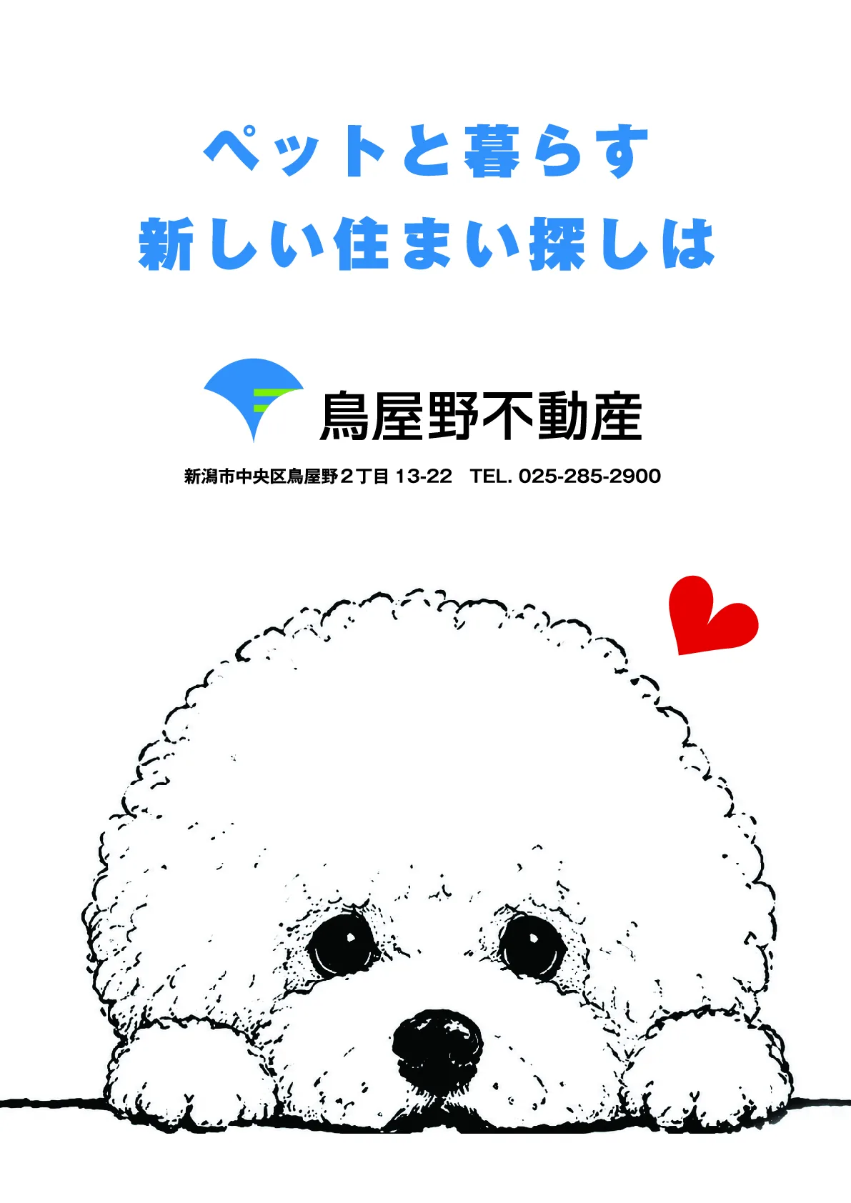 mofli創刊号 12ページ目